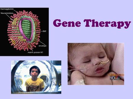Gene Therapy. What is Gene Therapy? Defective genes make non-functional proteins, creating genetic disorders Gene therapy corrects defective genes by.