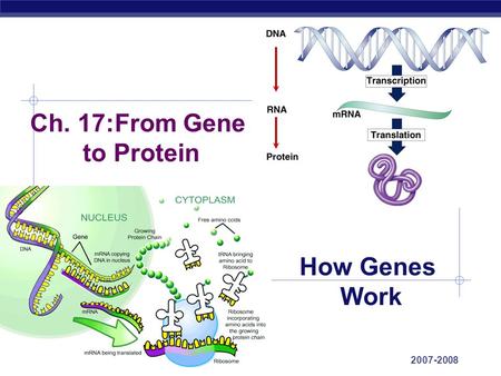 Ch. 17:From Gene to Protein