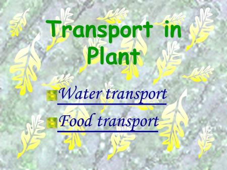 Water transport Food transport