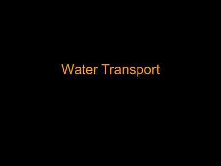 Water Transport Root Anatomy The cross section of a root contains the Epidermis, Cortex, and Vascular Cylinder from outside to inside The Vascular Cylinder.