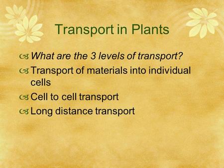 Transport in Plants  What are the 3 levels of transport?  Transport of materials into individual cells  Cell to cell transport  Long distance transport.