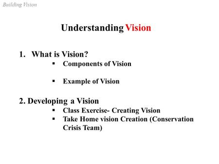 Building Vision Understanding Vision 1.What is Vision?  Components of Vision  Example of Vision 2. Developing a Vision  Class Exercise- Creating Vision.