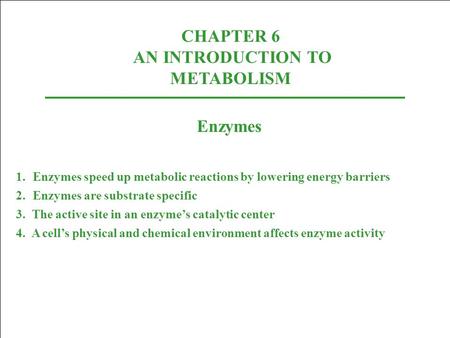 CHAPTER 6 AN INTRODUCTION TO METABOLISM