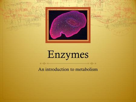 Enzymes An introduction to metabolism. The purpose of an enzyme in a cell is to allow the cell to carry out chemical reactions very quickly. These reactions.