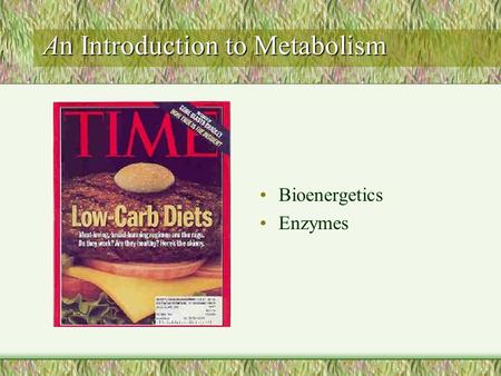 An Introduction to Metabolism Bioenergetics Enzymes.