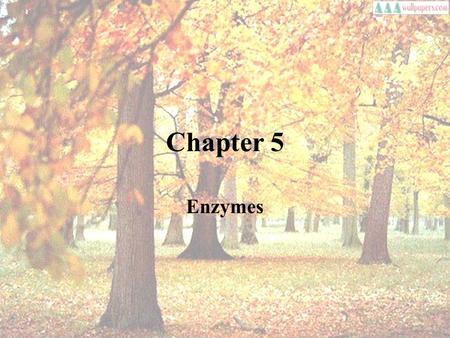 Chapter 5 Enzymes. Enzymes as organic catalysts Enzyme is for lowering of activation energy.Enzyme is for lowering of activation energy.