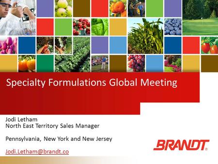 Specialty Formulations Global Meeting