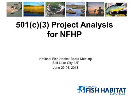 501(c)(3) Project Analysis for NFHP National Fish Habitat Board Meeting Salt Lake City, UT June 25-26, 2013.