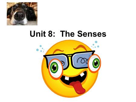 Unit 8:  The Senses.