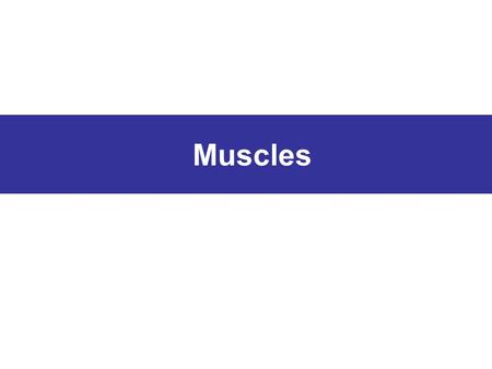 Muscles. There are 3 types of muscles: Smooth-cover organs such as digestive system. A wavelike motion in the digestive system which allows food to move.