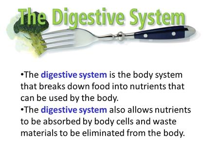 The digestive system is the body system that breaks down food into nutrients that can be used by the body. The digestive system also allows nutrients to.