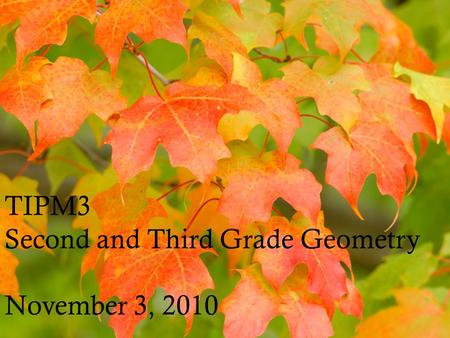 TIPM3 Second and Third Grade Geometry November 3, 2010.