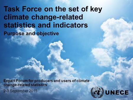 . Task Force on the set of key climate change-related statistics and indicators Purpose and objective Expert Forum for producers and users of climate change-related.