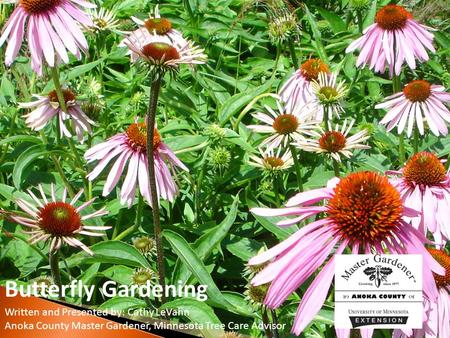 Butterfly Gardening Written and Presented by: Cathy LeVahn Anoka County Master Gardener, Minnesota Tree Care Advisor.