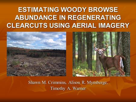 ESTIMATING WOODY BROWSE ABUNDANCE IN REGENERATING CLEARCUTS USING AERIAL IMAGERY Shawn M. Crimmins, Alison R. Mynsberge, Timothy A. Warner.