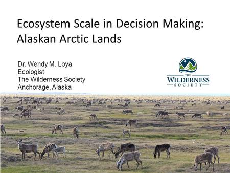 Ecosystem Scale in Decision Making: Alaskan Arctic Lands Dr. Wendy M. Loya Ecologist The Wilderness Society Anchorage, Alaska.