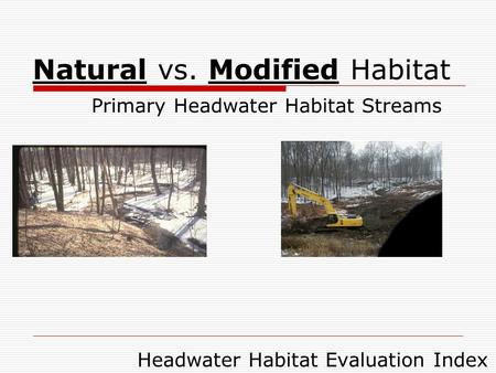 Natural vs. Modified Habitat Primary Headwater Habitat Streams Headwater Habitat Evaluation Index.