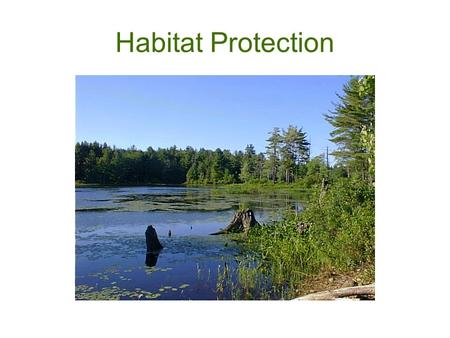 Habitat Protection. Public Benefits of Wildlife Habitat Preservation of Rural Character Hunting, Fishing, and Recreational Economies Ecological Services.