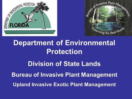 Department of Environmental Protection Division of State Lands Bureau of Invasive Plant Management Upland Invasive Exotic Plant Management.