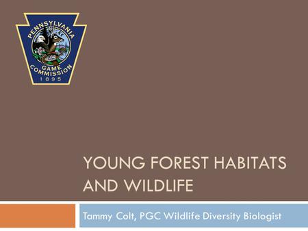 YOUNG FOREST HABITATS AND WILDLIFE Tammy Colt, PGC Wildlife Diversity Biologist.