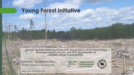 Young Forest Initiative