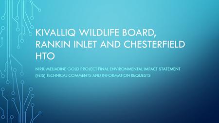 KIVALLIQ WILDLIFE BOARD, RANKIN INLET AND CHESTERFIELD HTO NIRB: MELIADINE GOLD PROJECT FINAL ENVIRONMENTAL IMPACT STATEMENT (FEIS) TECHNICAL COMMENTS.