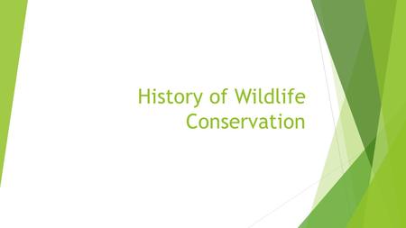 History of Wildlife Conservation. Intro to National Parks: PBS Video 