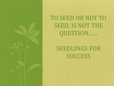 TO SEED OR NOT TO SEED, IS NOT THE QUESTION…… SEEDLINGS FOR SUCCESS.
