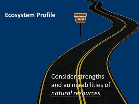 Ecosystem Profile Consider strengths and vulnerabilities of natural resources.