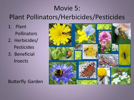 Movie 5: Plant Pollinators/Herbicides/Pesticides 1.Plant Pollinators 2. Herbicides/ Pesticides 3. Beneficial Insects Butterfly Garden.