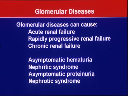 Primary glomerular diseases Talia Weinstein MD PhD Sourasky Medical Center.