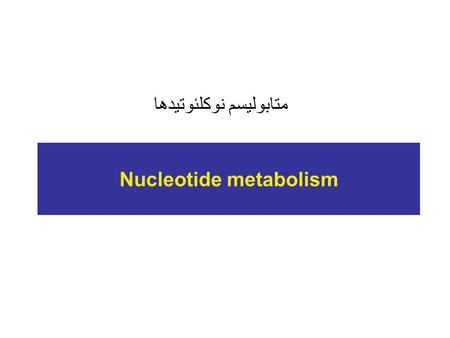 Nucleotide metabolism