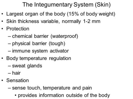 The Integumentary System (Skin) Largest organ of the body (15% of body weight) Skin thickness variable, normally 1-2 mm Protection –chemical barrier (waterproof)