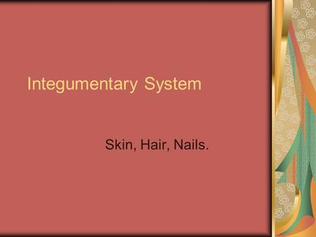 Integumentary System Skin, Hair, Nails..