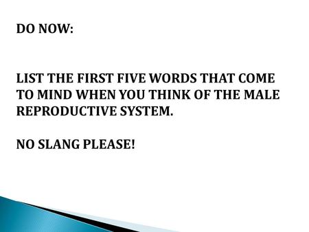 DO NOW: LIST THE FIRST FIVE WORDS THAT COME TO MIND WHEN YOU THINK OF THE MALE REPRODUCTIVE SYSTEM. NO SLANG PLEASE!