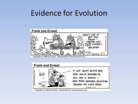 Evidence for Evolution. The Fossil Record The fossil record provides evidence of the extinction of species, the origin of new species, and changes within.