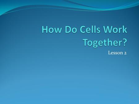 How Do Cells Work Together?