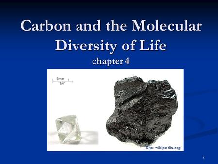 1 Carbon and the Molecular Diversity of Life chapter 4 Site: wikipedia.org.