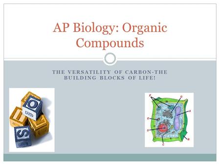 AP Biology: Organic Compounds