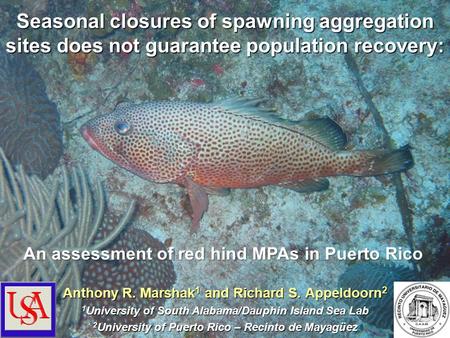 Seasonal closures of spawning aggregation sites does not guarantee population recovery: Anthony R. Marshak 1 and Richard S. Appeldoorn 2 1 University of.