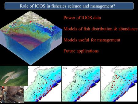 Role of IOOS in fisheries science and management? Power of IOOS data Models of fish distribution & abundance Models useful for management Future applications.