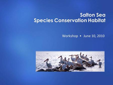 Salton Sea Species Conservation Habitat Workshop June 10, 2010.