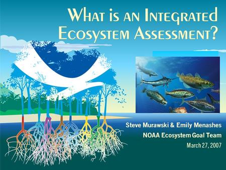 What is an Integrated Ecosystem Assessment? Steve Murawski & Emily Menashes NOAA Ecosystem Goal Team March 27, 2007.