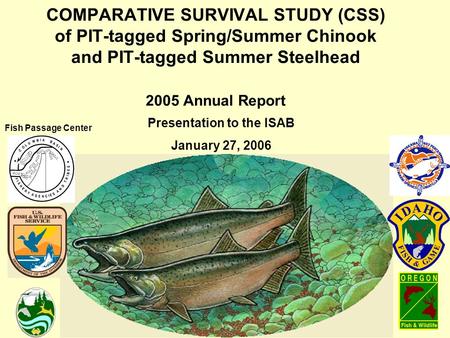 COMPARATIVE SURVIVAL STUDY (CSS) of PIT-tagged Spring/Summer Chinook and PIT-tagged Summer Steelhead 2005 Annual Report Presentation to the ISAB January.