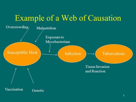 Example of a Web of Causation