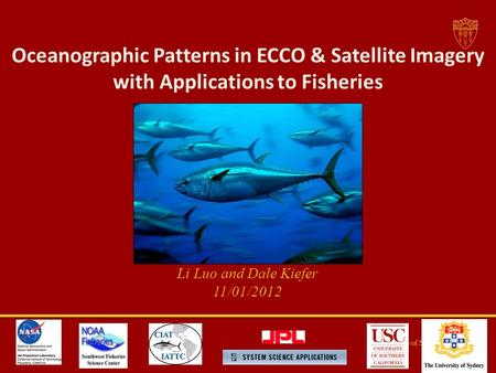 Oceanographic Patterns in ECCO & Satellite Imagery with Applications to Fisheries Li Luo and Dale Kiefer 11/01/2012.