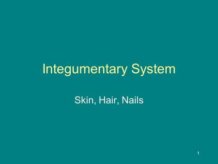 1 Integumentary System Skin, Hair, Nails. 2 Common Skin Disorders Vocabulary Acne - A disease of the sebaceous glands that produces blackheads and pimples.