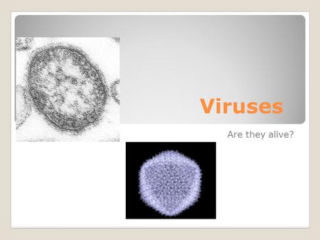Viruses Are they alive?. The properties of life ● You already know that living things: 1. Made of cells 2. Grow and reproduce 3. Use information from.