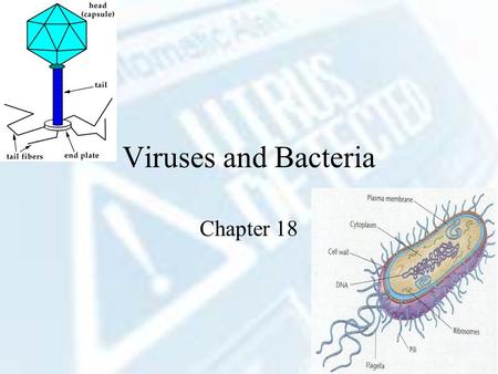 Viruses and Bacteria Chapter 18. Viruses Characteristics Non-living  no respiration, growth, or development ½ - 1/100 the size of bacteria Can’t reproduce.