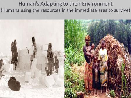 Human’s Adapting to their Environment (Humans using the resources in the immediate area to survive)